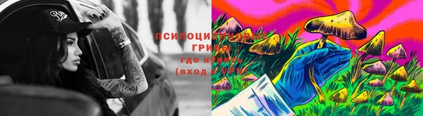 твердый Козловка