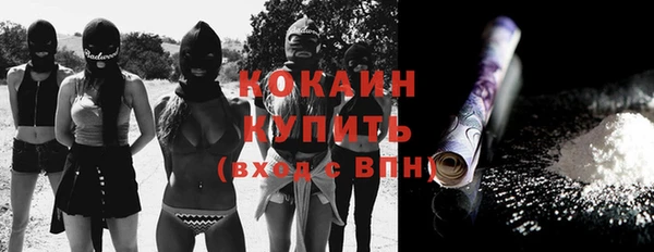 сатива Козельск