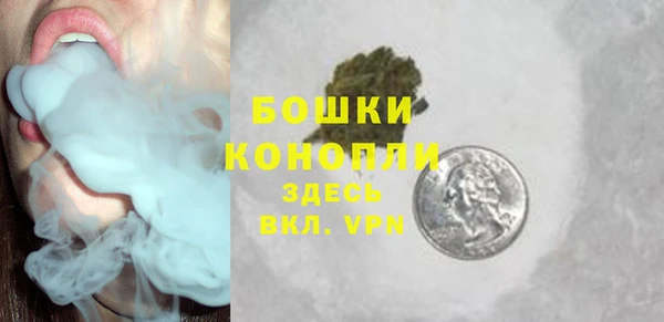 твердый Козловка
