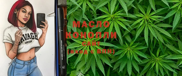 сатива Козельск