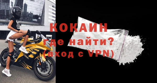 сатива Козельск