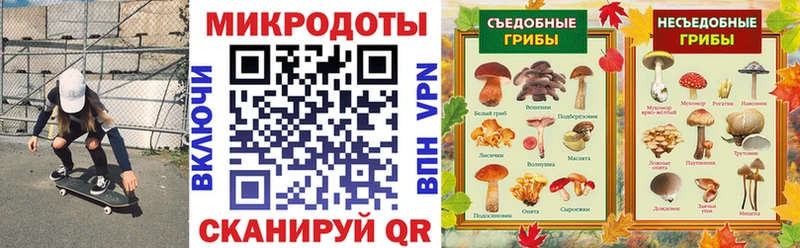 Купить закладки  Волжск  Псилоцибиновые грибы MAGIC MUSHROOMS 